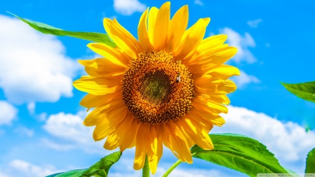 Fusce et sagittis volutpat taciti