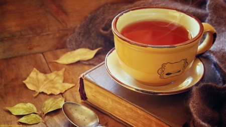 Scelerisque finibus maecenas lacus nec