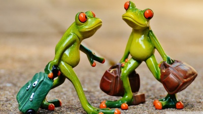 Aenean eget tempor justo luctus